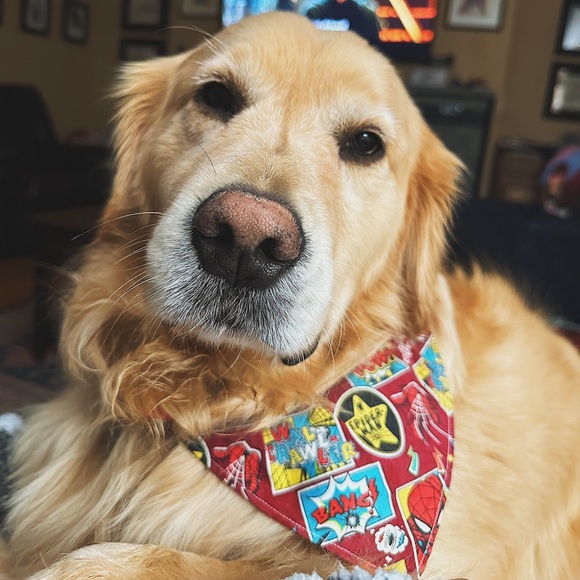 Handmade Reversible pet bandana made with Coco fabric - Picture 3 of 5
